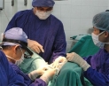 Phác đồ điều trị Tăng sản tuyến thượng thận bẩm sinh